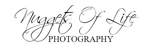 Nuggets of Life Photography
